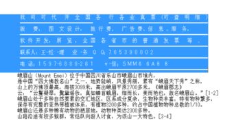 濟南市場營銷策劃費專用增值稅進項發票抬頭詳解